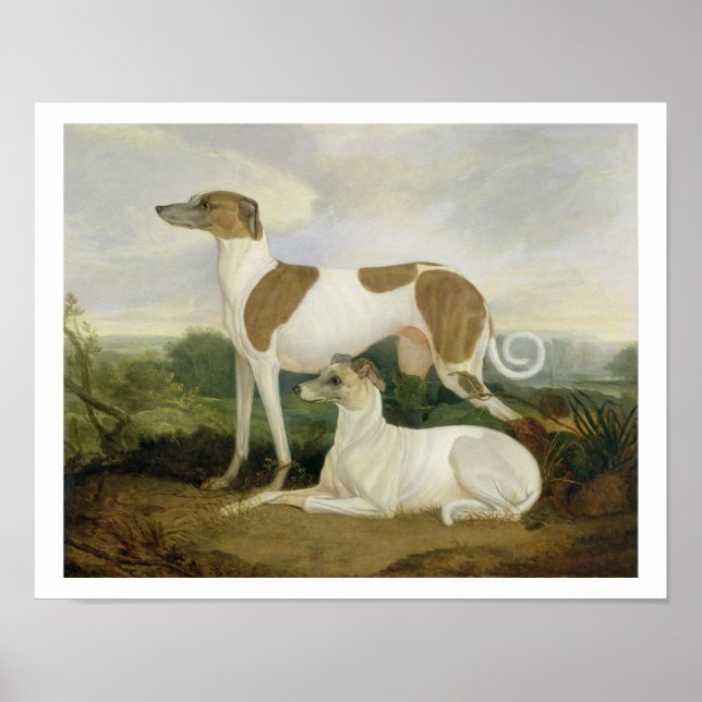 Poster Two Greyhounds in a Landscape (Devant)