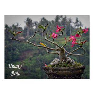 Poster Ubud Travel, Bali Travel
