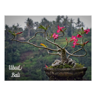 Poster Ubud Travel, Bali Travel