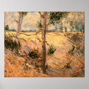 Poster Un arbre dans un champ pendant la journée ensoleil