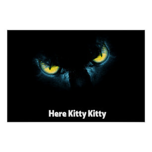 Poster Un arrière - plan noir regarde un chat effrayant