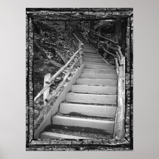 Poster Un chemin sombre (Devant)