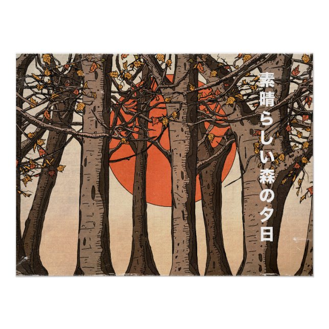 Poster Un coucher de soleil merveilleux en forêt (Devant)