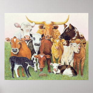 Poster Un étranger étonnant
