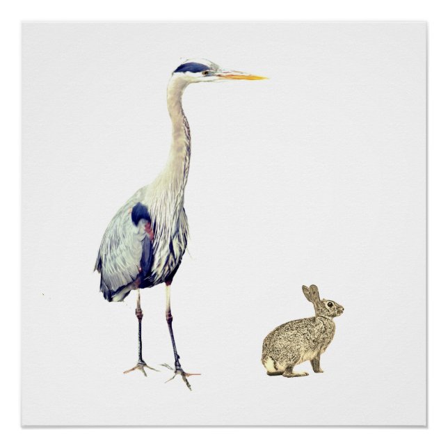 Poster Un héron bleu et un lapin (Devant)