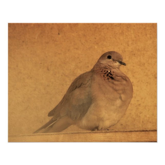 Poster Un moment innocent (Devant)