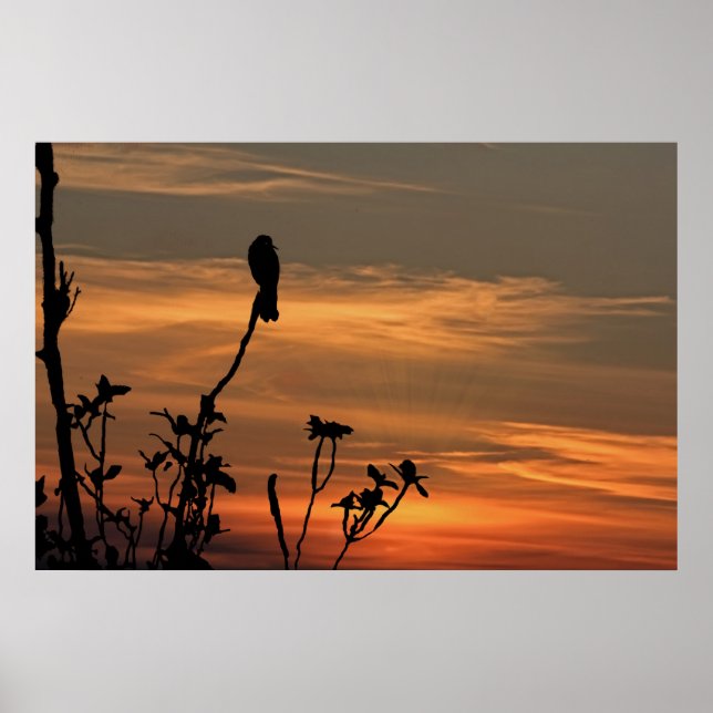 Poster un oiseau dans l'arbre au coucher du soleil (Devant)