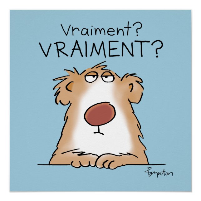 Poster Un ours vraiment incrédule (Devant)