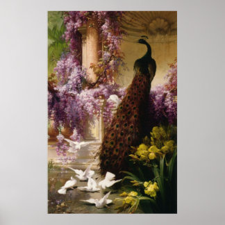 Poster Un paon et des colombes dans un jardin Imprimer