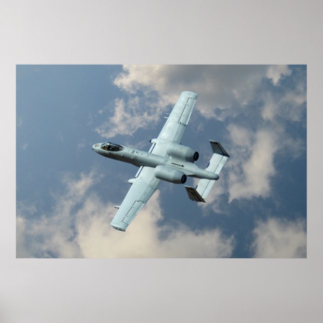 Poster Un phacochère A-10 (Devant)