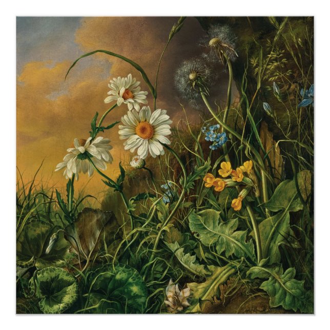 Poster Un plancher forestier avec marguerites, primeurs,  (Devant)