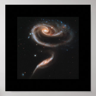 Poster Un Rose En Galaxies - Télescope Spatial Hubble