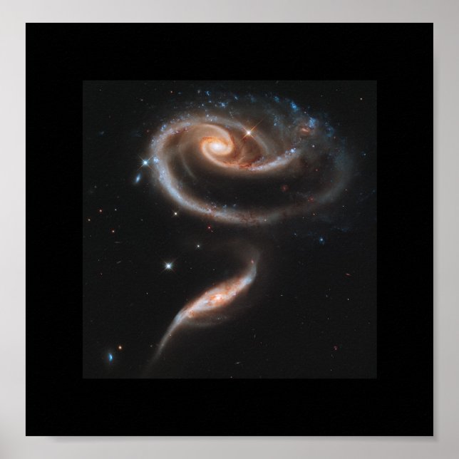 Poster Un Rose En Galaxies - Télescope Spatial Hubble (Devant)
