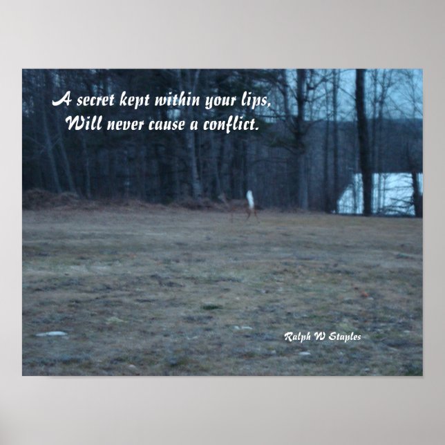 Poster Un secret tenu (Devant)