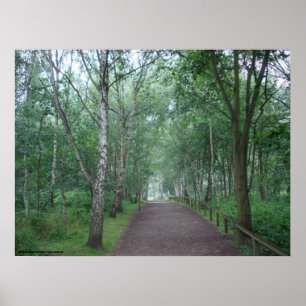 Poster Un sentier forestier de Sherwood