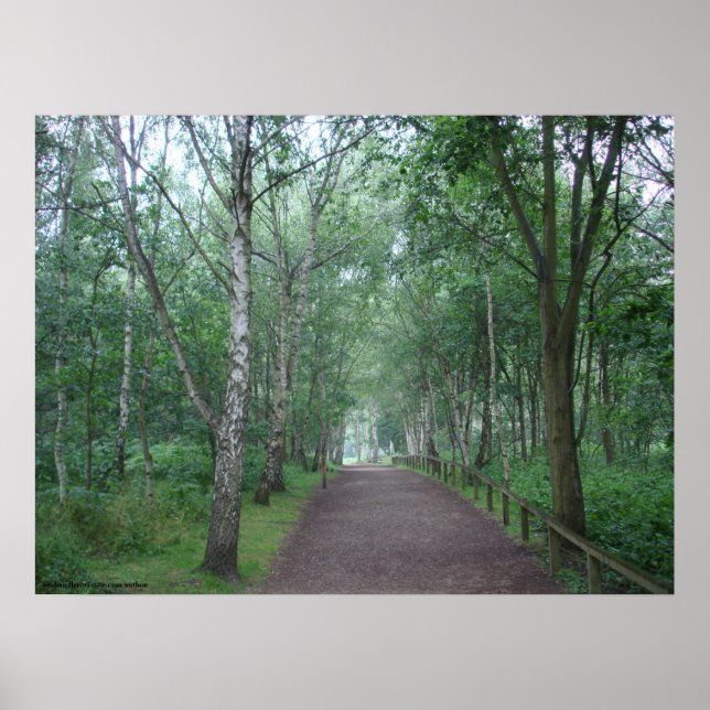 Poster Un sentier forestier de Sherwood (Devant)