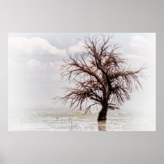 Poster un seul ARBRE dans un marécage avec un brou (Devant)