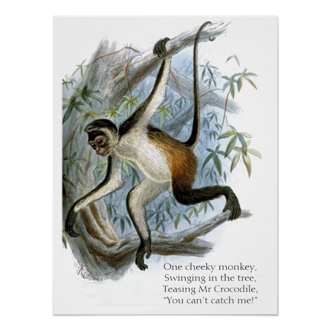 Poster Un singe Cheeky CC0365 pour enfants (Devant)