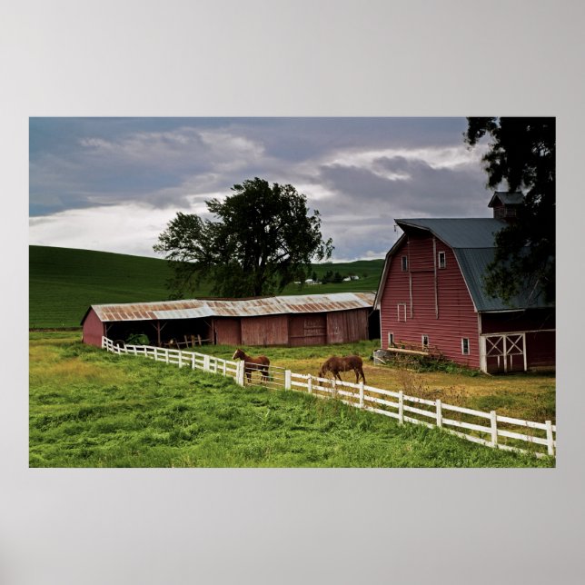 Poster Une balade à travers le pays agricole de Palouse 4 (Devant)