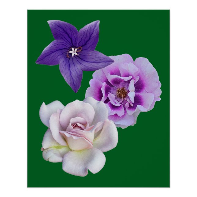 Poster Une fleur (Devant)
