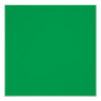 Une fougère verte luxuriante avec délicatesse et f