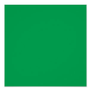 Poster Une fougère verte luxuriante avec délicatesse et f