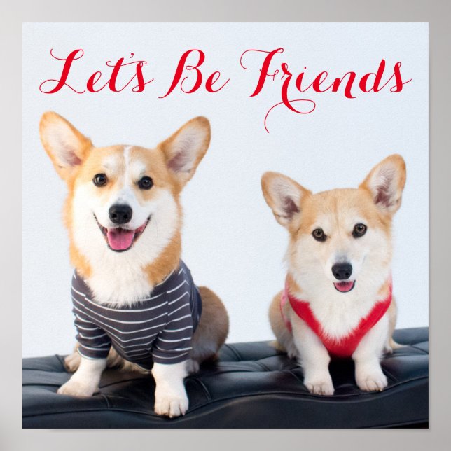 Poster Une Paire De Corgis Assis Sur Un Banc (Devant)