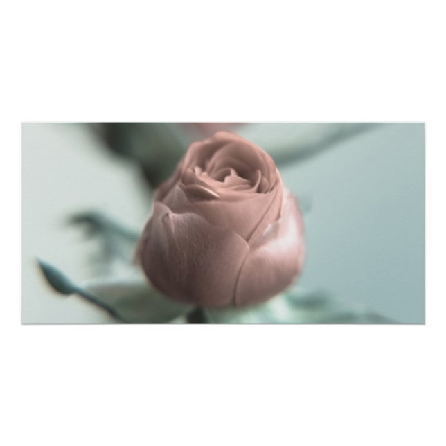 Poster Une rose rose pour votre chéri... (Devant)