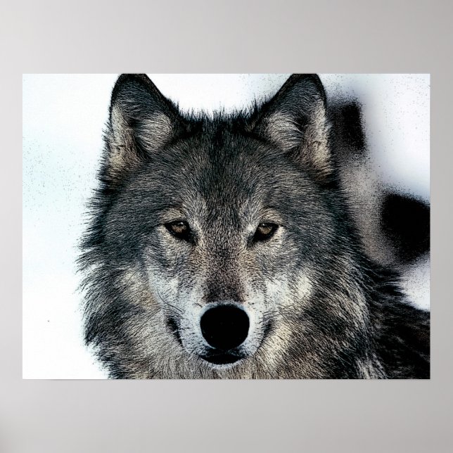 Poster Unique Motivationnel Freedom Wolf (Devant)