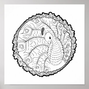 Poster unique Peacock Art Coloring