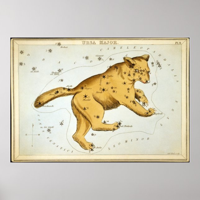 Poster Ursa Major (Devant)