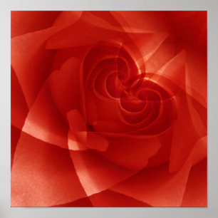 Poster USA, Colorado, Lafayette. Montage de roses rouges