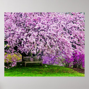 Poster USA, Delaware, Wilmington. Banc en bois sous