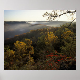 Poster USA, Kentucky. Forêt nationale Daniel Boone.