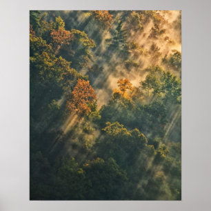 Poster USA, New York, Letchworth State Park. Soleil