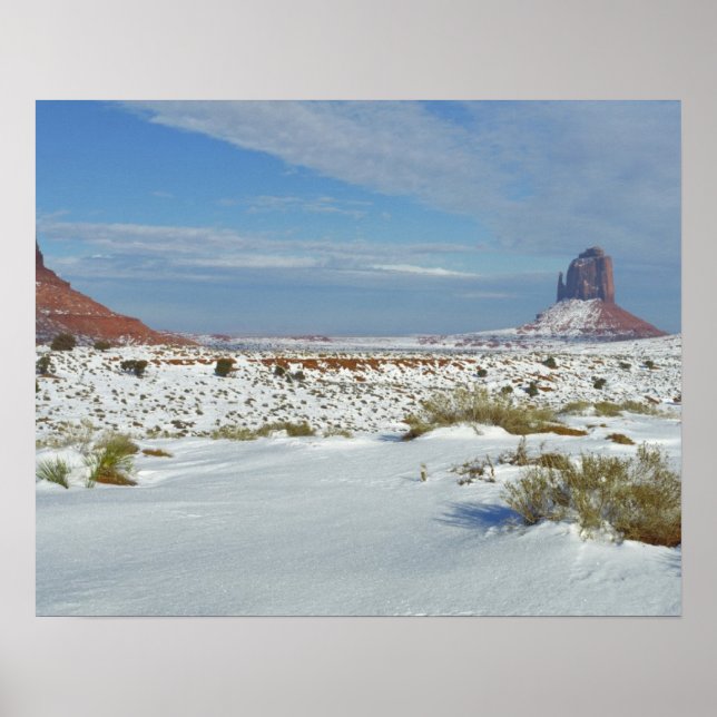 Poster USA, Utah, Monument Valley. Sagebrush (Devant)