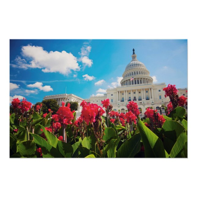Poster USA, Washington DC, Capitol Building (Devant)