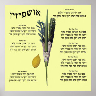 Poster Ushpizin et blanche d'Arba (4 espèces)