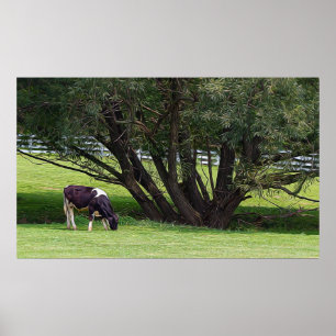 Poster Vache de campagne