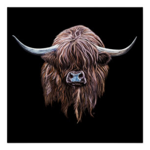 Poster Vache écossaise des Highlands en couleur