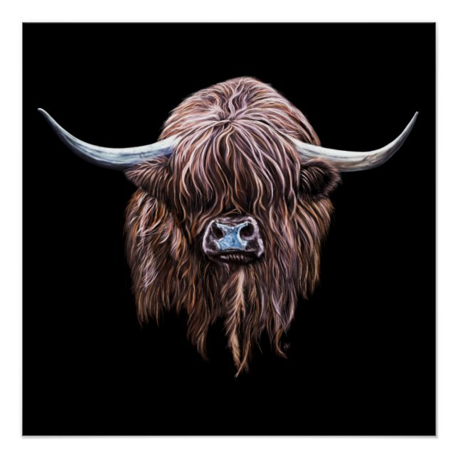 Poster Vache écossaise des Highlands en couleur (Devant)