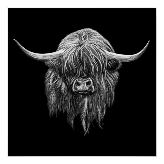 Poster Vache Écossaise Highland En Noir Et Blanc (Devant)