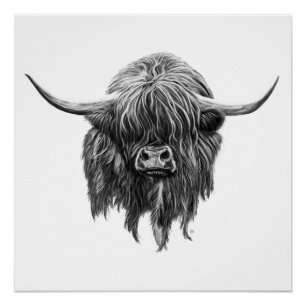 Poster Vache Écossaise Highland En Noir Et Blanc