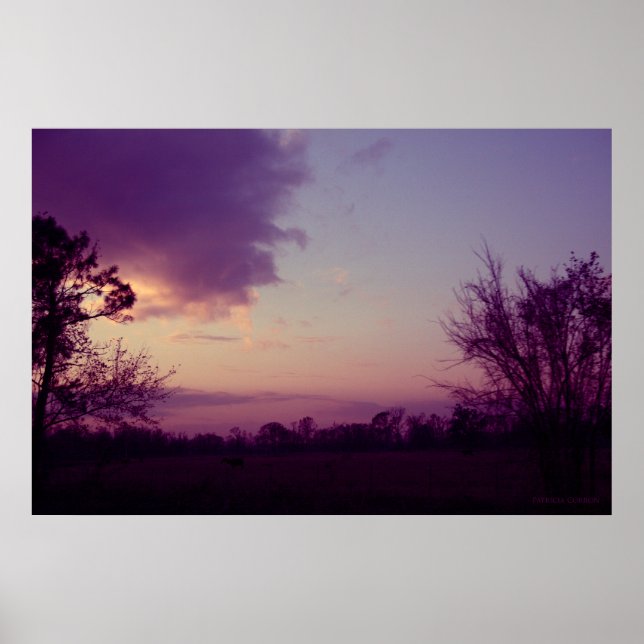 Poster Vaches dans le champ (Devant)
