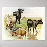 Vaches de la ferme d'art vintage