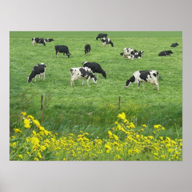 Poster Vaches, prairie et fleurs Imprimer Cadeaux (Devant)