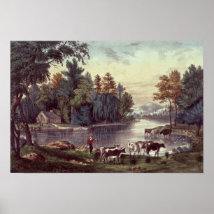Poster Vaches sur la rive d'un lac
