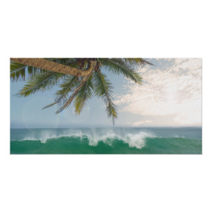 Poster Vague de l'océan tropical et cocotier