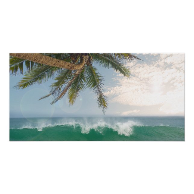 Poster Vague de l'océan tropical et cocotier (Devant)