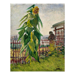Poster Van Gogh - Allotissement avec tournesol